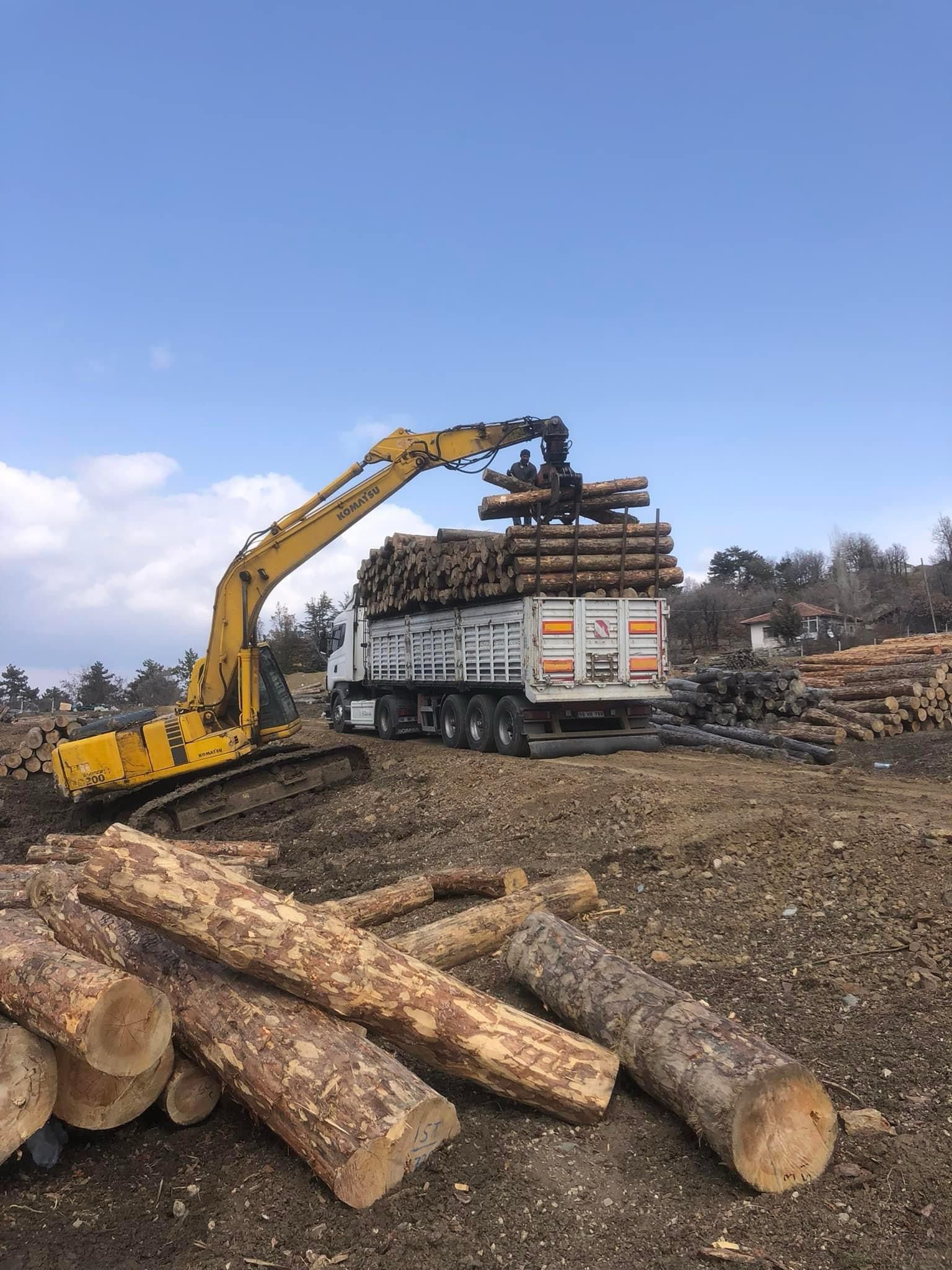 Şanver Orman Ürünleri ve Nakliye